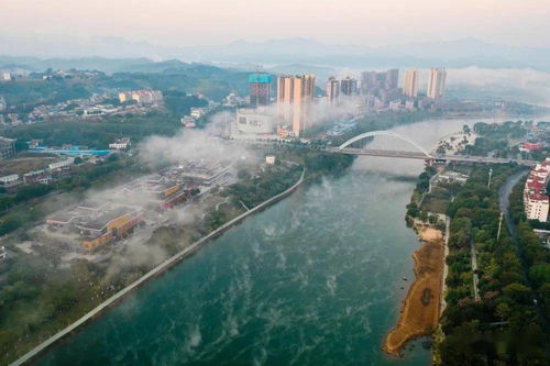 靖西全方位對外開放成效顯著 外貿進出口同比增長21%